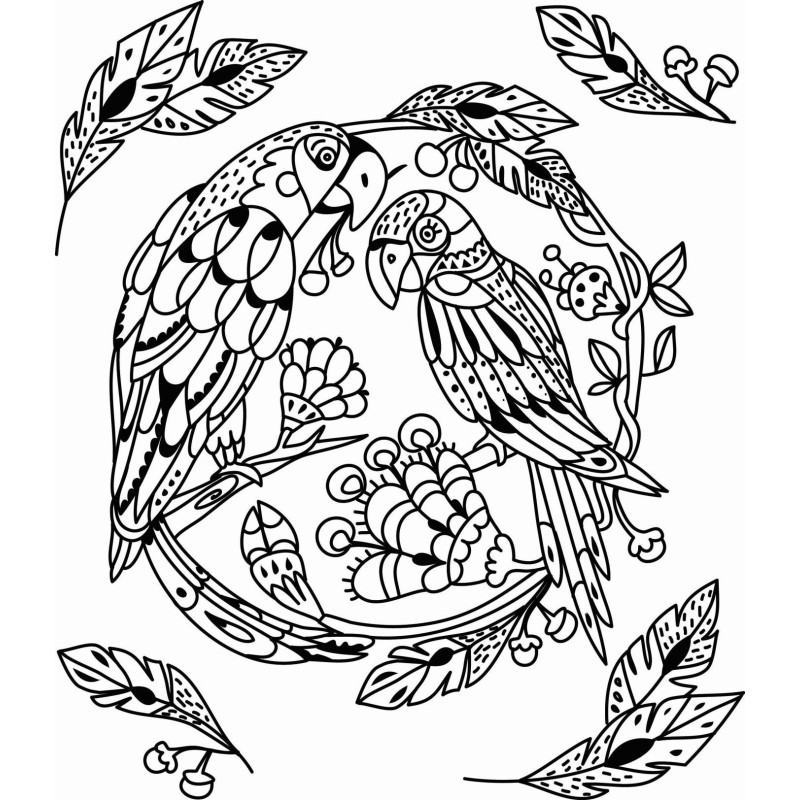 Mes premiers ateliers du calme - Colos animaux de la jungle