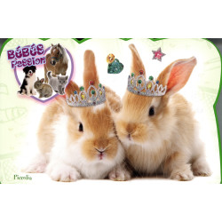 Bébés passion - Lapin