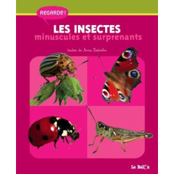 Regarde - Les insectes minuscules et surprenants