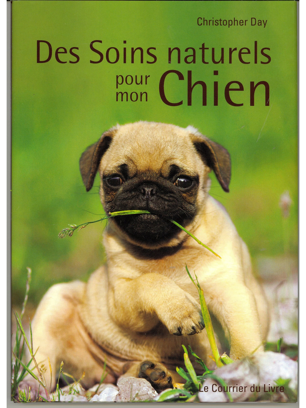 Des Soins naturels pour mon Chien