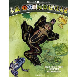 Objectif découverte - La grenouille - Saute dans le monde incroyable des grenouilles