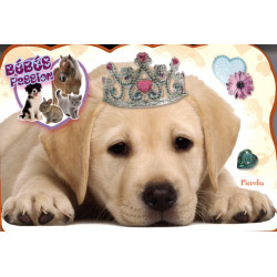 Bébés passion - Chien