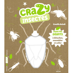 Crazy insectes - Insectes géants à détacher, assembler et coller