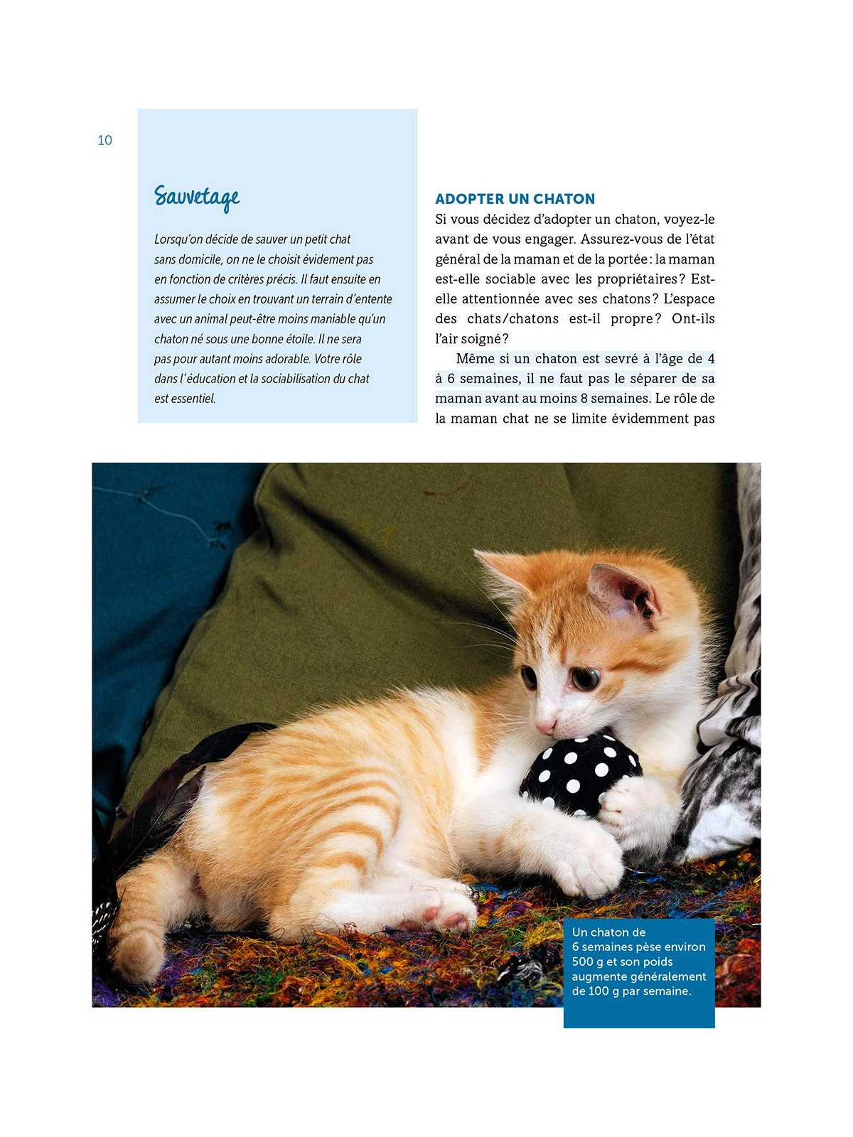 Manuel du chat en bonne santé - Les bons gestes et les bons réflexes