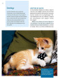 Manuel du chat en bonne santé - Les bons gestes et les bons réflexes