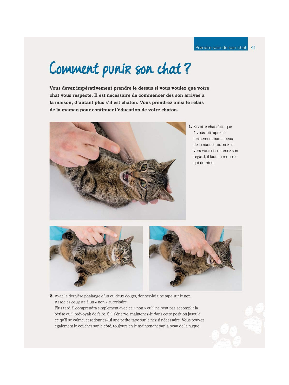 Manuel du chat en bonne santé - Les bons gestes et les bons réflexes