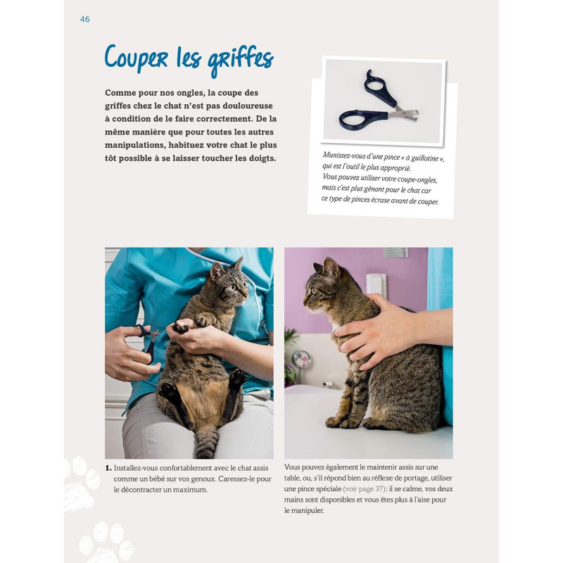 Manuel du chat en bonne santé - Les bons gestes et les bons réflexes