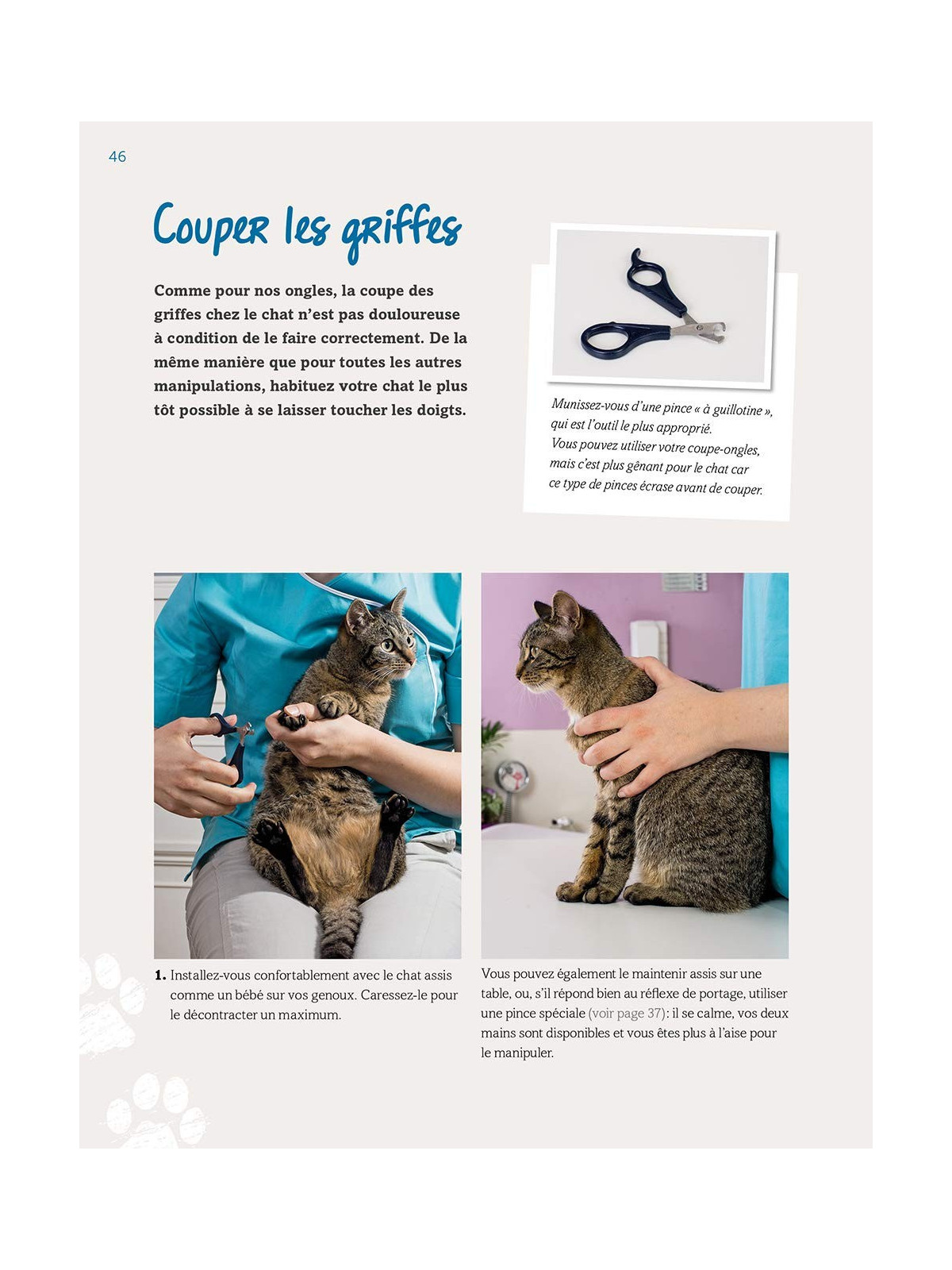 Manuel du chat en bonne santé - Les bons gestes et les bons réflexes