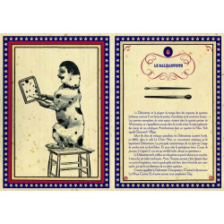 L'animhommerie de Monsieur Larsen