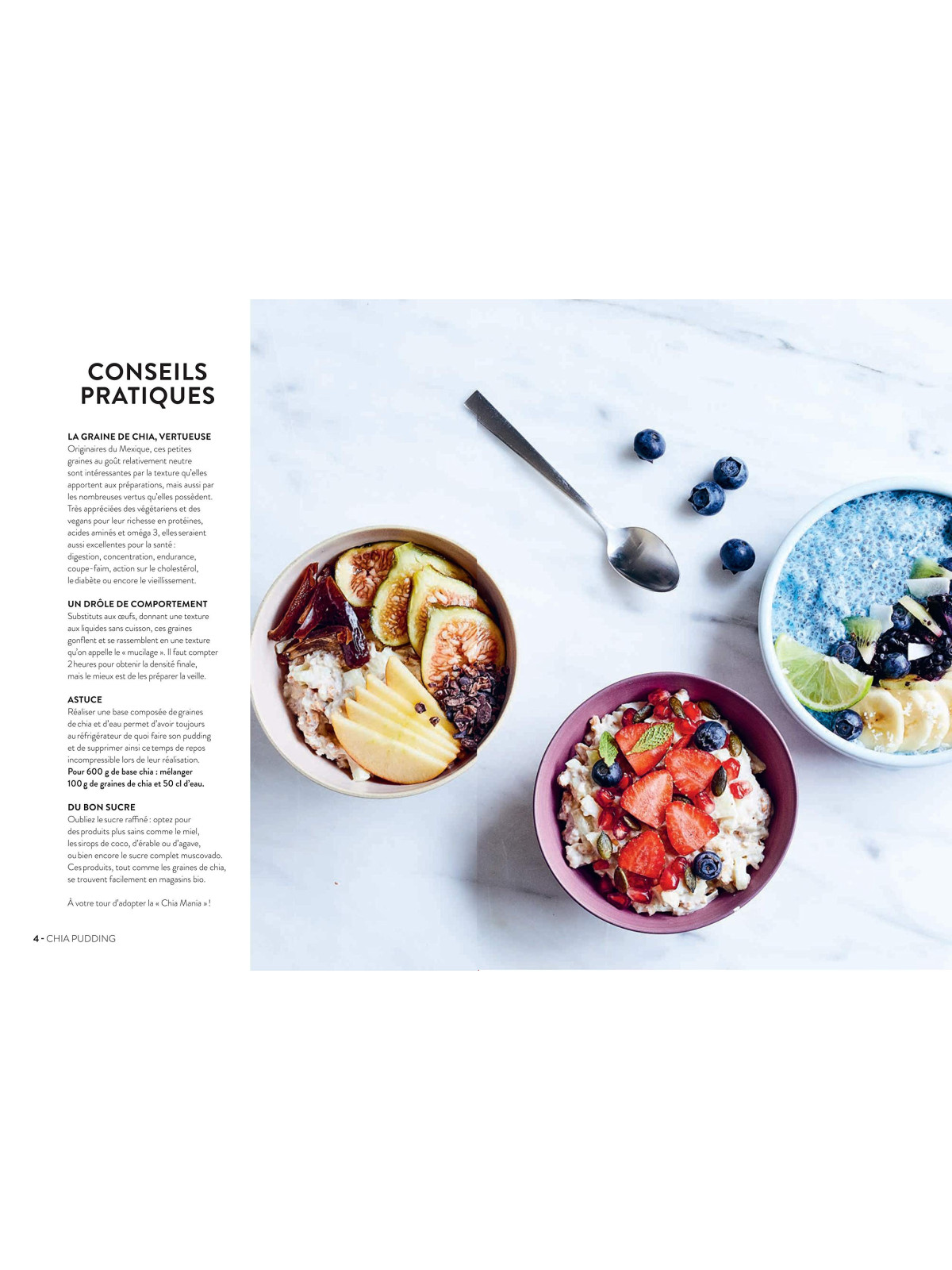 Lundi c'est veggie ! Chia pudding & cie - 30 recettes végétariennes 100 % gourmandes