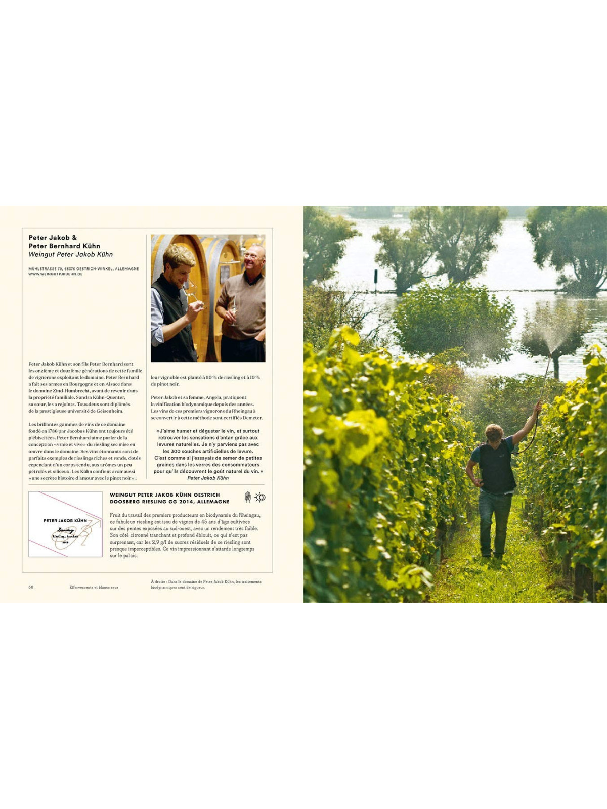 Le vin naturellement - Les meilleurs vins naturels, biologiques et biodynamiques autour du monde