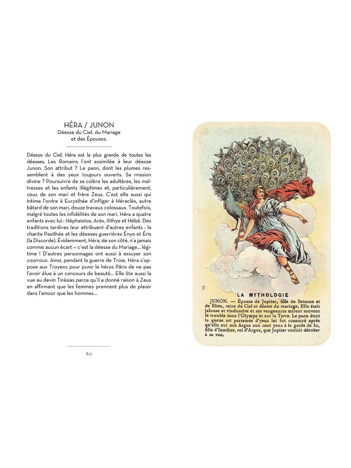 Le petit livre des dieux