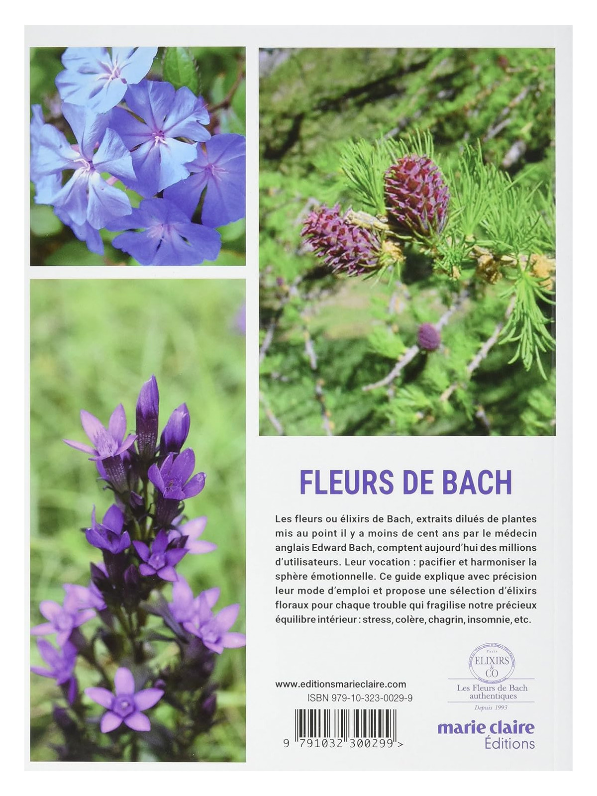 Fleurs de Bach - Pour retrouver l'équilibre intérieur