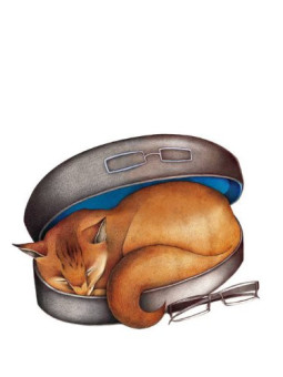 Pourquoi les chats ne portent pas de chapeau