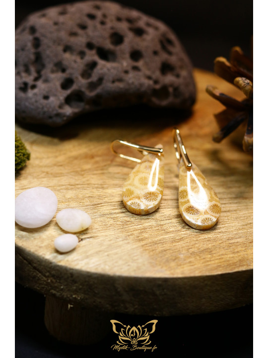 Boucles d'oreilles artisanales en corail fossilisé - Accroches en laiton plaqué or 14K