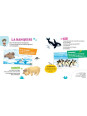 Coffret Découvre les animaux - Un premier documentaire avec des jeux et un puzzle de 35 pièces