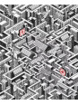 Extrêmes labyrinthes - 50 labyrinthes pour se perdre en ville