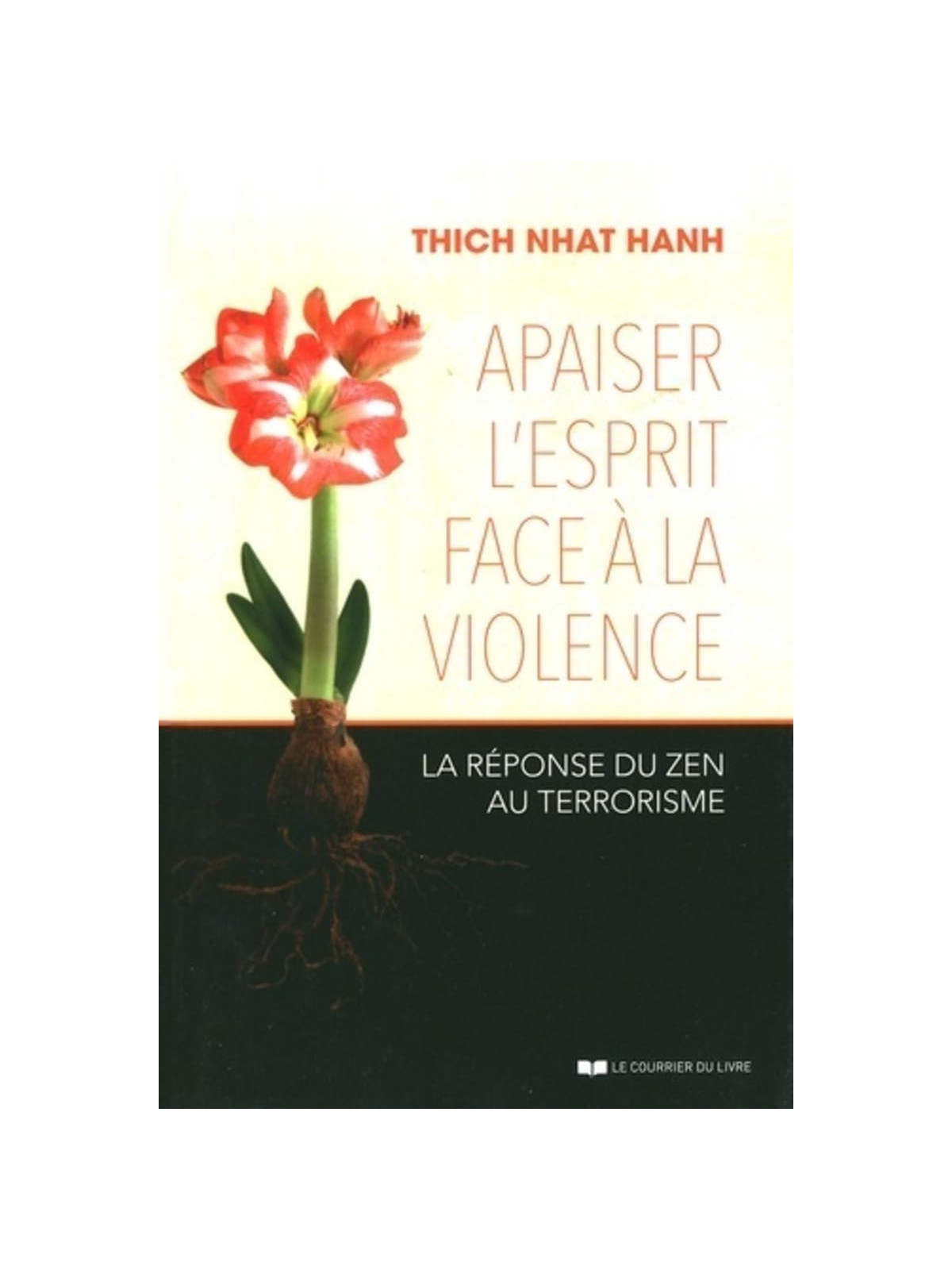 Apaiser l'esprit face à la violence - La réponse du zen au terrorisme