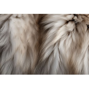 Animaux terrestres de A à K : ancrage, force et sagesse instinctive – Mystik Boutique