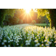 Muguet – parfum frais, floral & purifiant – Mystik Boutique