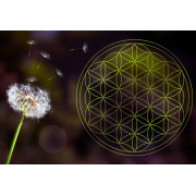 Fleur de Vie – symbole sacré, harmonie & énergie – Mystik Boutique