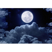 Lune & cycles lunaires – intuition, cycles & transformation – Mystik Boutique