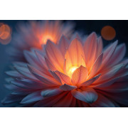 Fleur de lotus – symbole d’éveil, pureté & transformation – Mystik Boutique